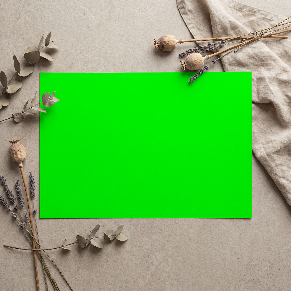 Main mockup image