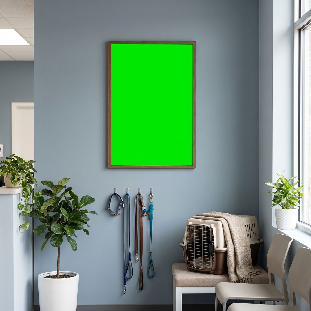 Main mockup image