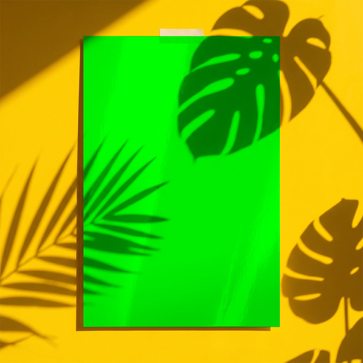 Main mockup image